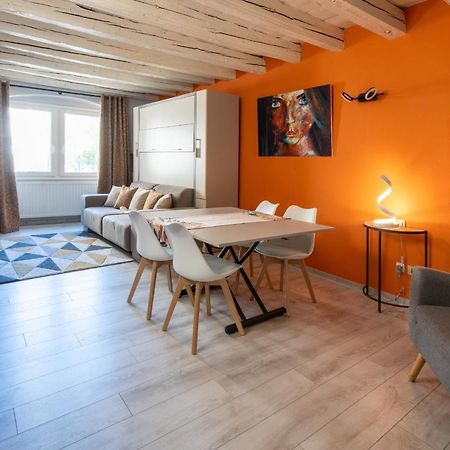 Fitz Roy Annecy Rent Lodge Eksteriør billede